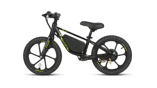 EKIDS16 1.0 - wEbike