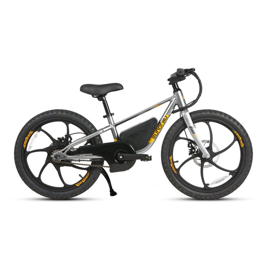 EKIDS20 1.0 - wEbike