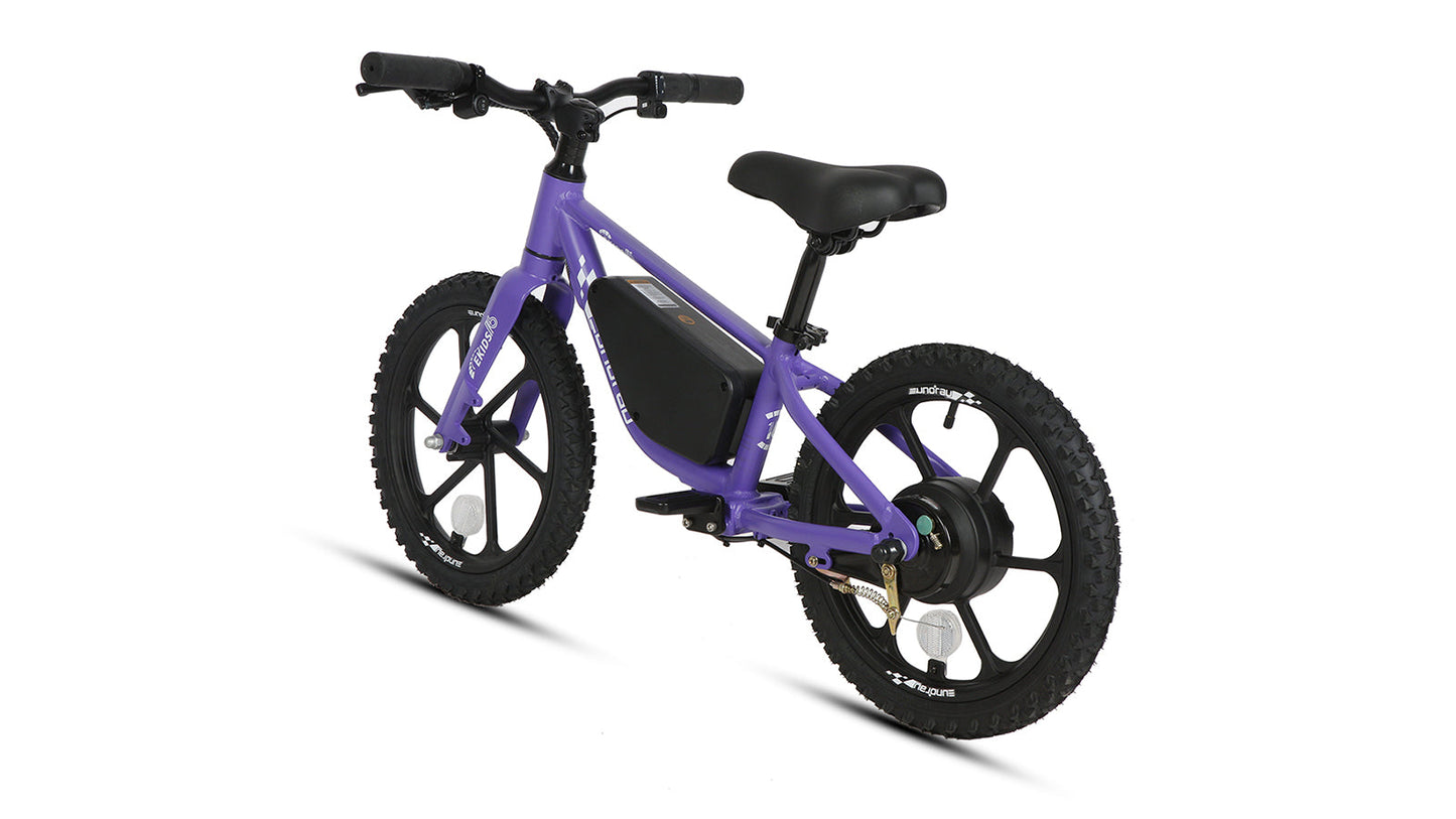 EKIDS16 1.0 - wEbike
