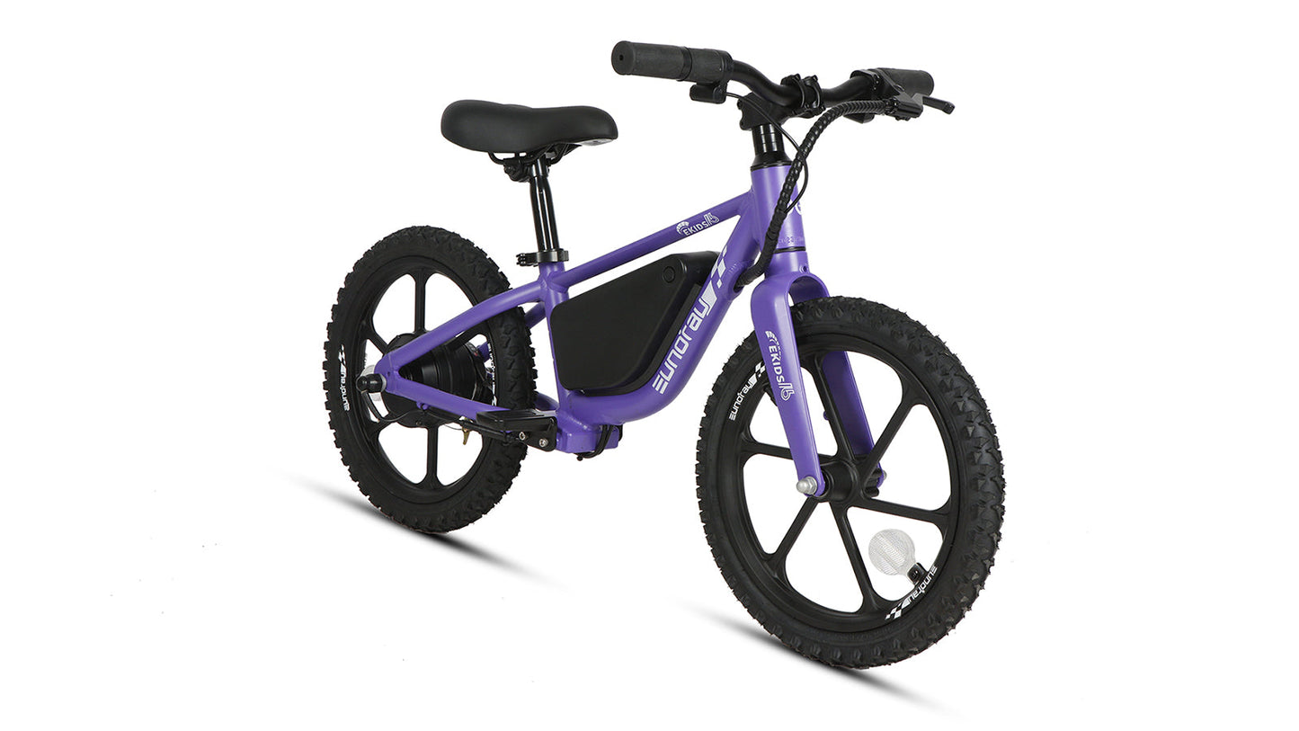 EKIDS16 1.0 - wEbike