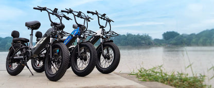 1500W Step-Through Electric Bike with Removable Battery - 80 Mile Range 30MPH Fat Tire E-Bike - wEbike