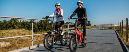 1000W Folding Electric Bike with Removable Battery - 80 Mile Range 28MPH Fat Tire E-Bike - wEbike