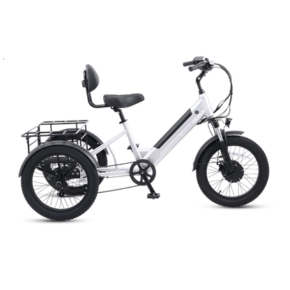 Viribus SC5 Fat Tire Electric Tricycle - 750W 3-Wheel E-Trike with 20" Fat Tires for Adults - wEbike