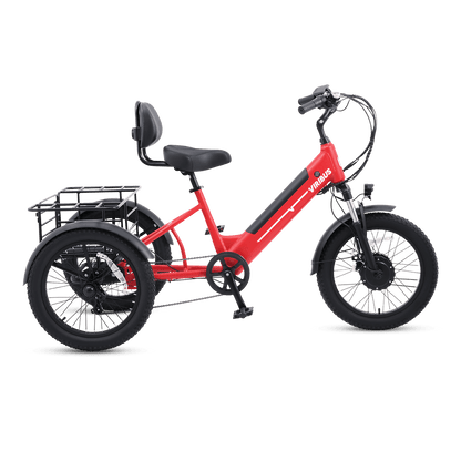Viribus SC5 Fat Tire Electric Tricycle - 750W 3-Wheel E-Trike with 20" Fat Tires for Adults - wEbike