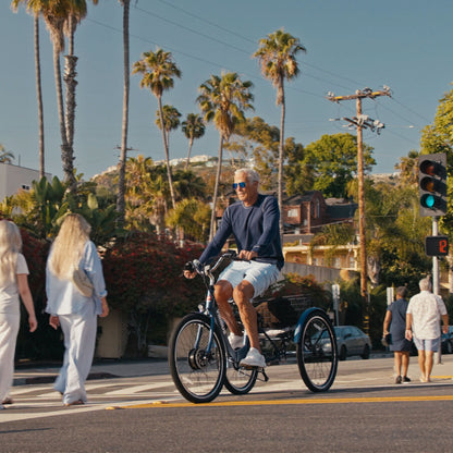 Viribus FC1 Folding Electric Tricycle - 750W 3-Wheel E-Trike with 20" Fat Tires for Adults - wEbike