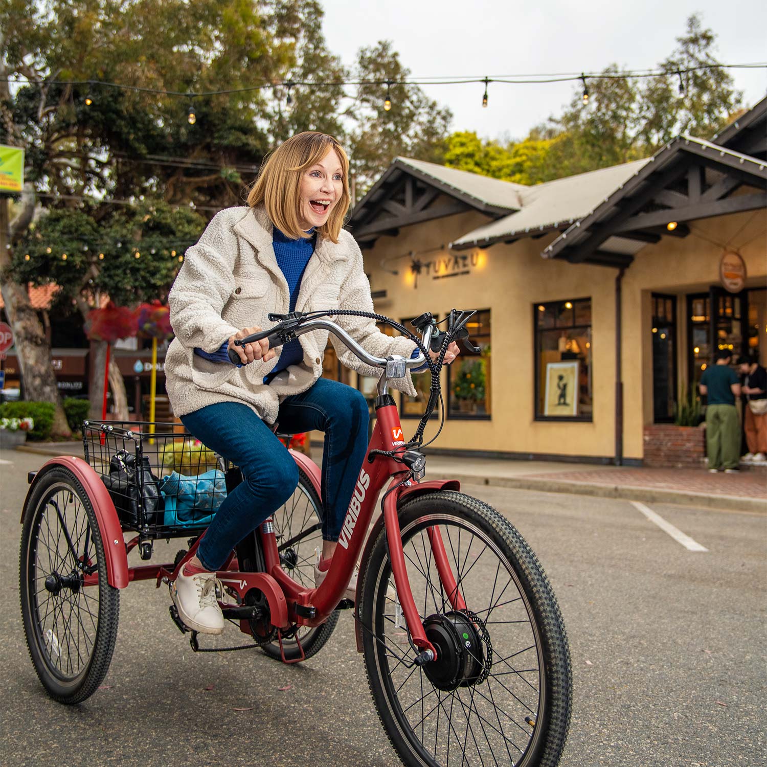 Viribus FC1 Folding Electric Tricycle - 750W 3-Wheel E-Trike with 20" Fat Tires for Adults - wEbike