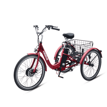 Viribus FC1 Folding Electric Tricycle - 750W 3-Wheel E-Trike with 20" Fat Tires for Adults - wEbike