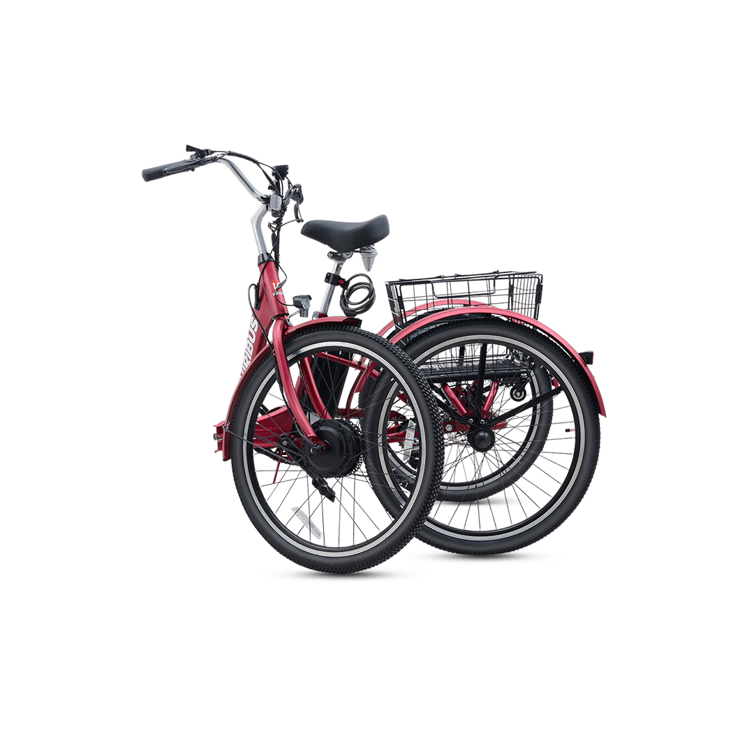 Viribus FC1 Folding Electric Tricycle - 750W 3-Wheel E-Trike with 20" Fat Tires for Adults - wEbike