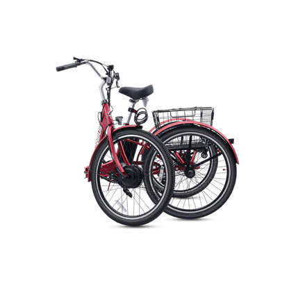 Viribus FC1 Folding Electric Tricycle - 750W 3-Wheel E-Trike with 20" Fat Tires for Adults - wEbike