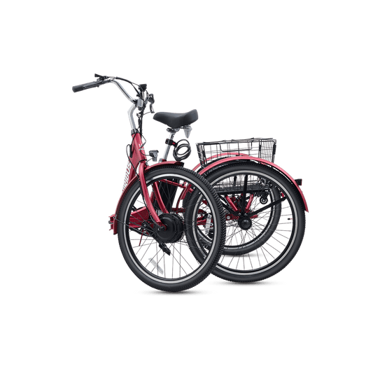 Viribus FC1 Folding Electric Tricycle - 750W 3-Wheel E-Trike with 20" Fat Tires for Adults - wEbike