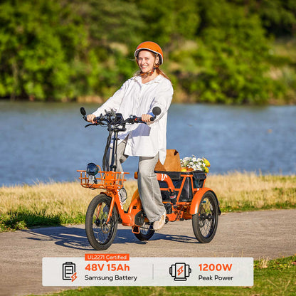 Viribus FC2 Folding Electric Tricycle - 750W 3-Wheel E-Trike with 20" Fat Tires for Adults - wEbike