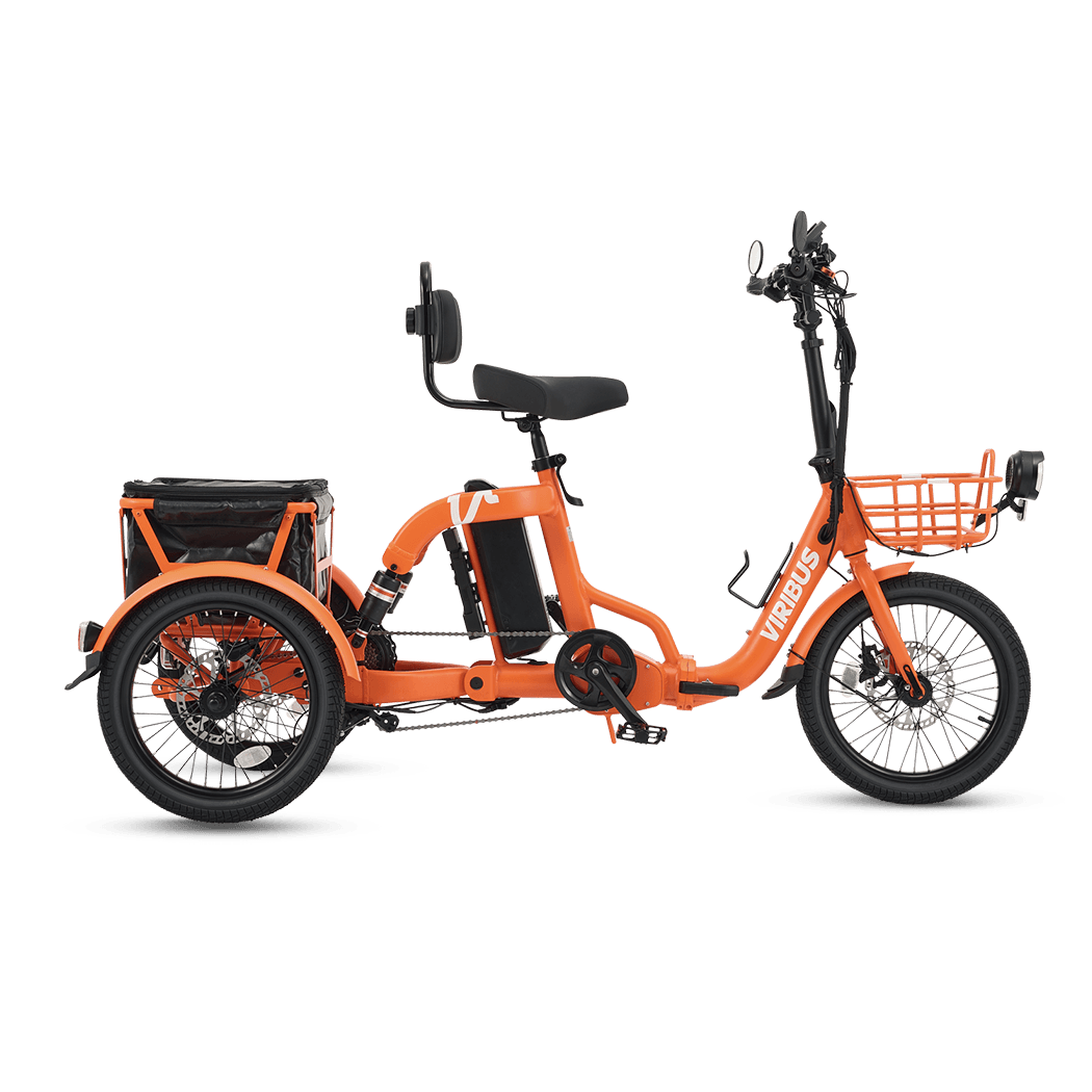Viribus FC2 Folding Electric Tricycle - 750W 3-Wheel E-Trike with 20" Fat Tires for Adults - wEbike