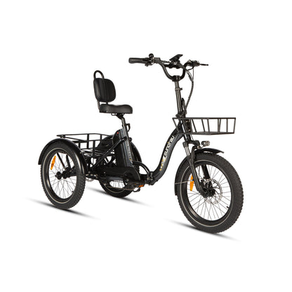 ONE-TRIKE 2.0 - wEbike