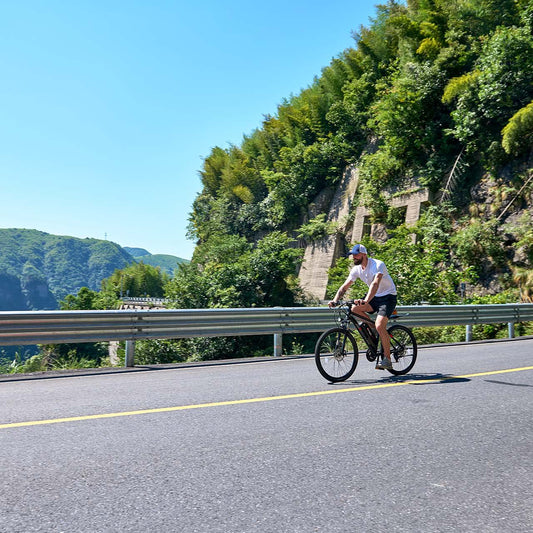 Viribus Panther Electric Mountain Bike - 750W Full Suspension E-MTB with 26" Fat Tires - wEbike