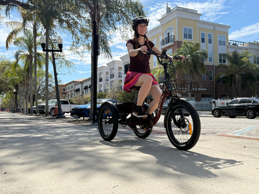 ONE-TRIKE 2.0 - wEbike