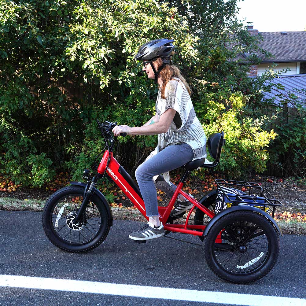 Viribus SC5 Fat Tire Electric Tricycle - 750W 3-Wheel E-Trike with 20" Fat Tires for Adults - wEbike
