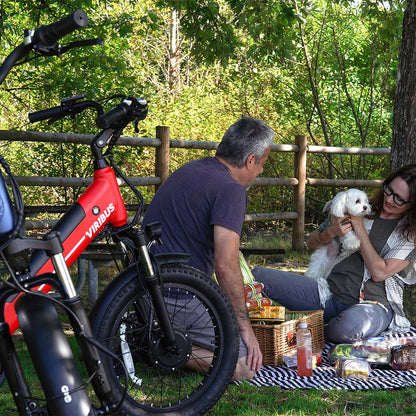 Viribus SC5 Fat Tire Electric Tricycle - 750W 3-Wheel E-Trike with 20" Fat Tires for Adults - wEbike