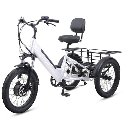 Viribus SC5 Fat Tire Electric Tricycle - 750W 3-Wheel E-Trike with 20" Fat Tires for Adults - wEbike